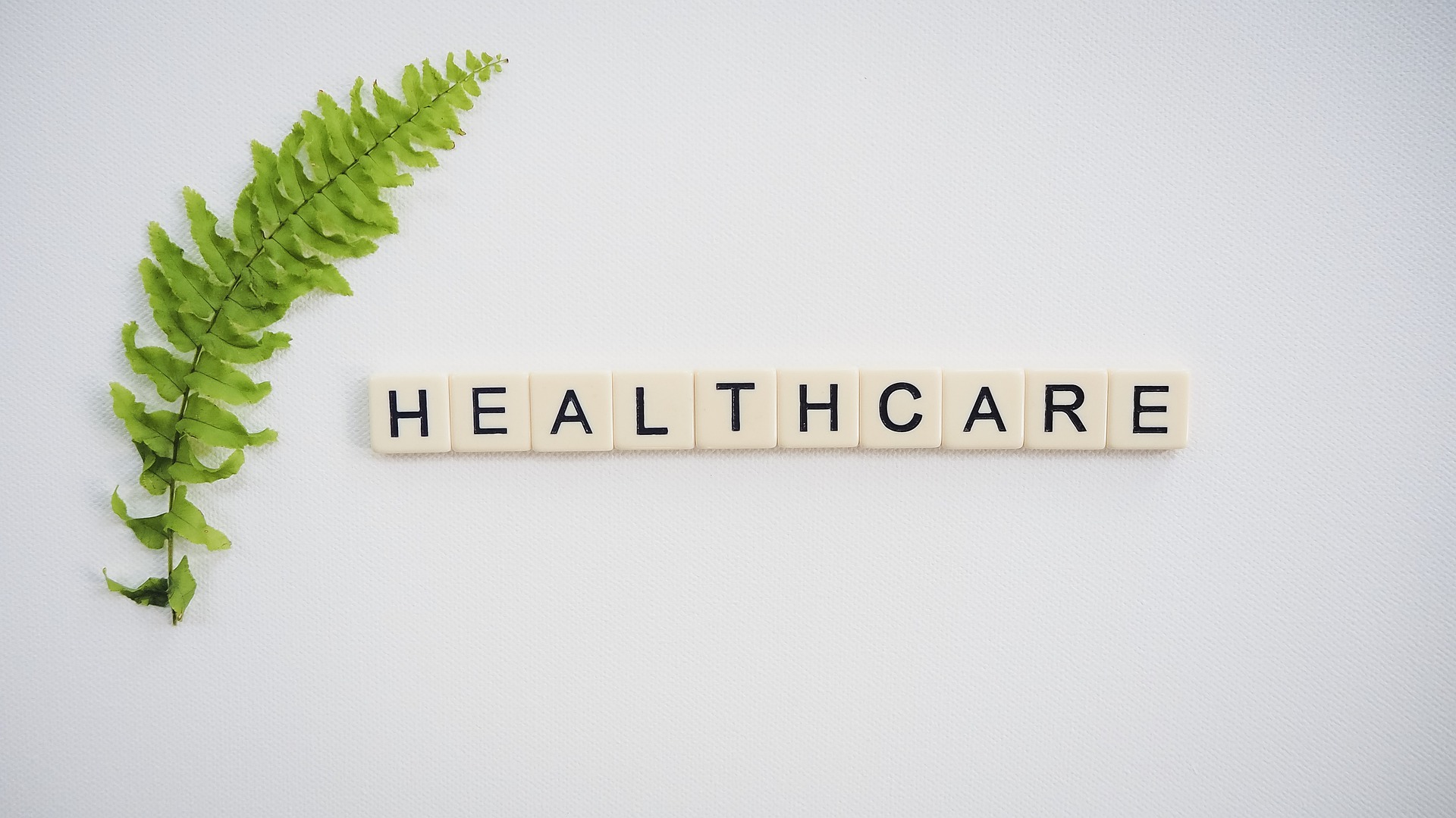a photo of a word healthcare with a herb in the left